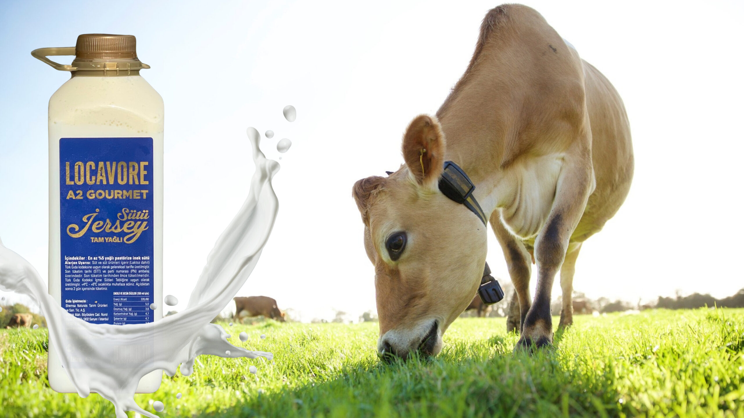 Gunluk Süt Stylelife#1